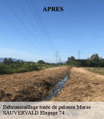 Débroussaillage tonte de pelouse