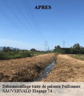 Débroussaillage tonte de pelouse
