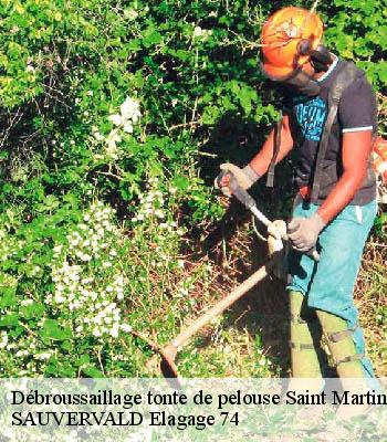 Débroussaillage tonte de pelouse