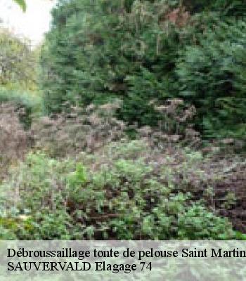 Débroussaillage tonte de pelouse
