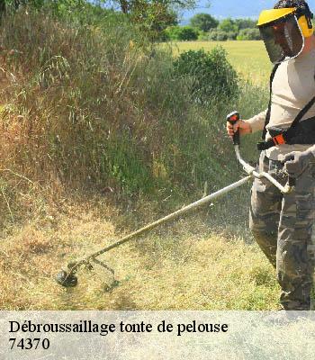 Débroussaillage tonte de pelouse