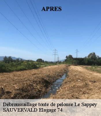 Débroussaillage tonte de pelouse