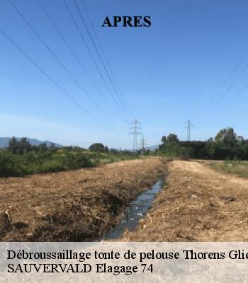 Débroussaillage tonte de pelouse