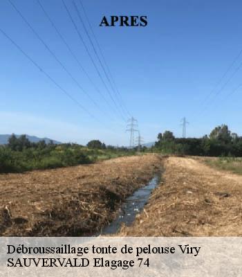 Débroussaillage tonte de pelouse