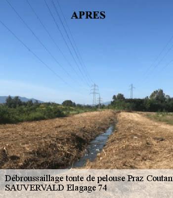 Débroussaillage tonte de pelouse