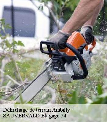Défrichage de terrain