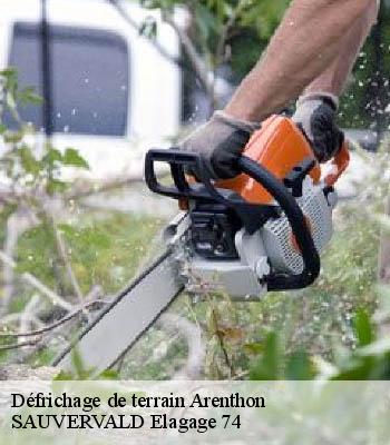 Défrichage de terrain