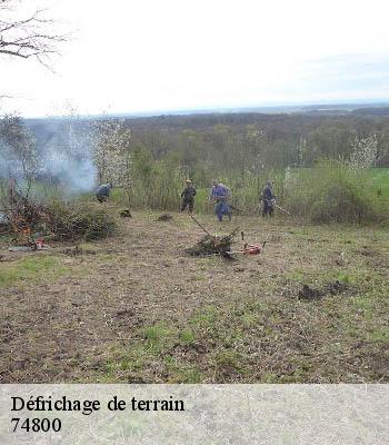 Défrichage de terrain