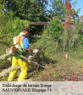 Défrichage de terrain