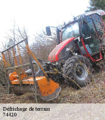 Défrichage de terrain