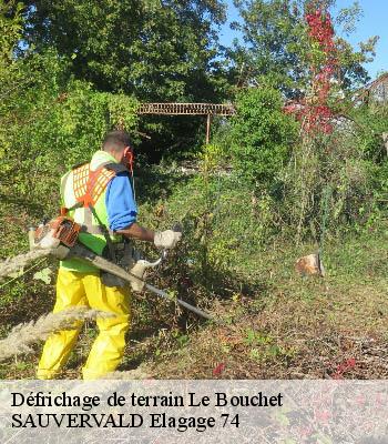 Défrichage de terrain
