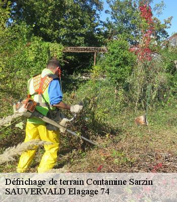 Défrichage de terrain