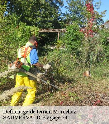 Défrichage de terrain