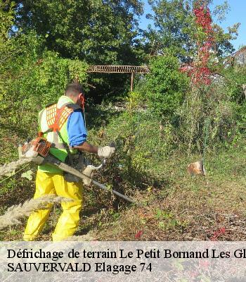 Défrichage de terrain
