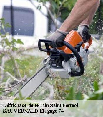 Défrichage de terrain
