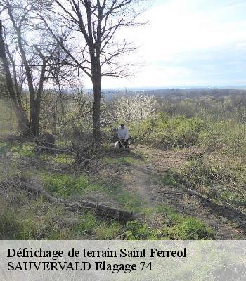 Défrichage de terrain