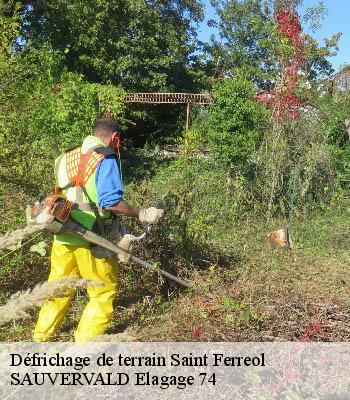 Défrichage de terrain