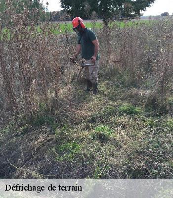 Défrichage de terrain