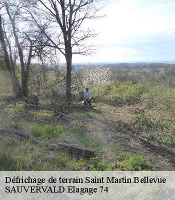 Défrichage de terrain