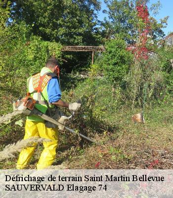 Défrichage de terrain