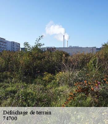 Défrichage de terrain