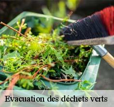 Evacuation des déchets verts