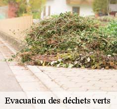 Evacuation des déchets verts