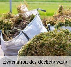 Evacuation des déchets verts