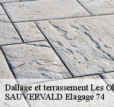 Dallage et terrassement