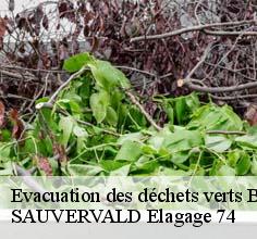 Evacuation des déchets verts