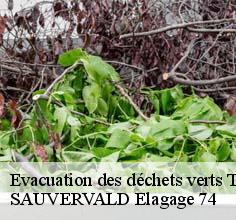 Evacuation des déchets verts