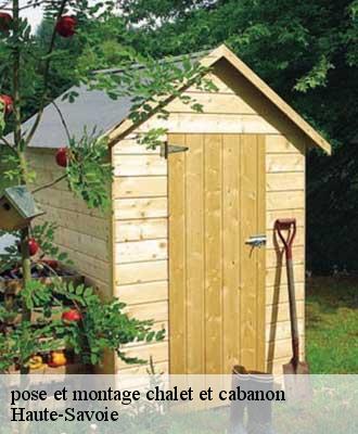 pose et montage chalet et cabanon