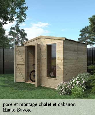 pose et montage chalet et cabanon