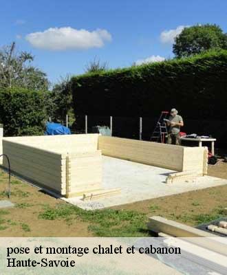 pose et montage chalet et cabanon