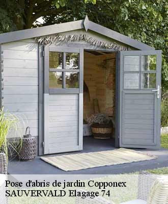 Pose d'abris de jardin