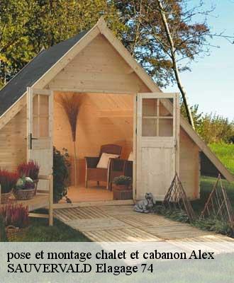pose et montage chalet et cabanon