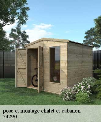 pose et montage chalet et cabanon