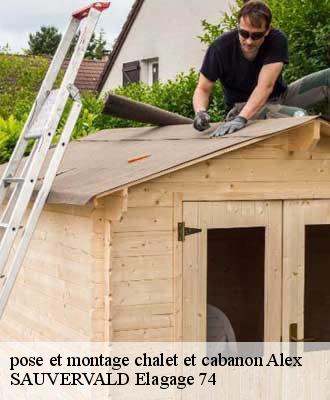 pose et montage chalet et cabanon