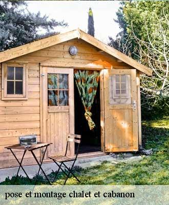 pose et montage chalet et cabanon