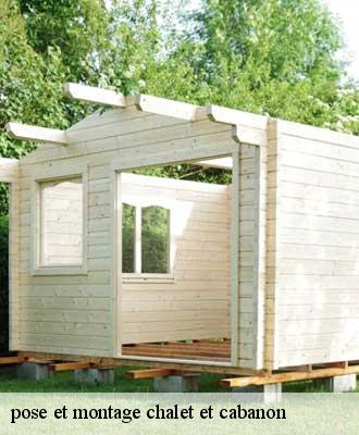 pose et montage chalet et cabanon