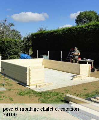 pose et montage chalet et cabanon