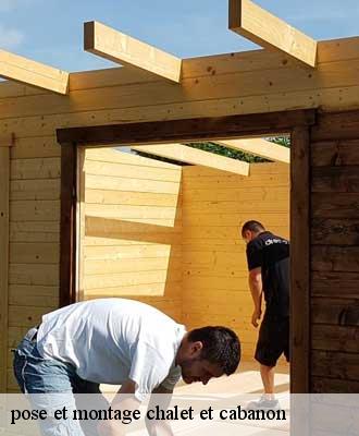 pose et montage chalet et cabanon