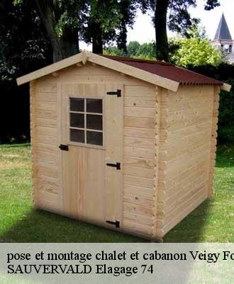 pose et montage chalet et cabanon